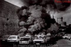In memoriam Pavo