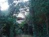 Braco_07